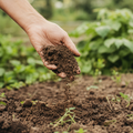 Main tenant de la terre de jardin — Kit Essentiel Terrapoule